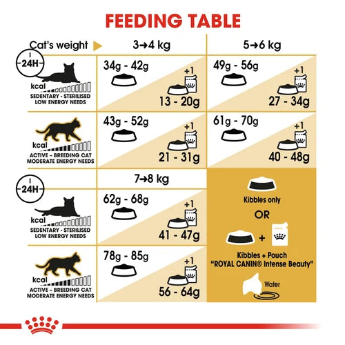 Royal Canin Cat Ragdoll Dry Food