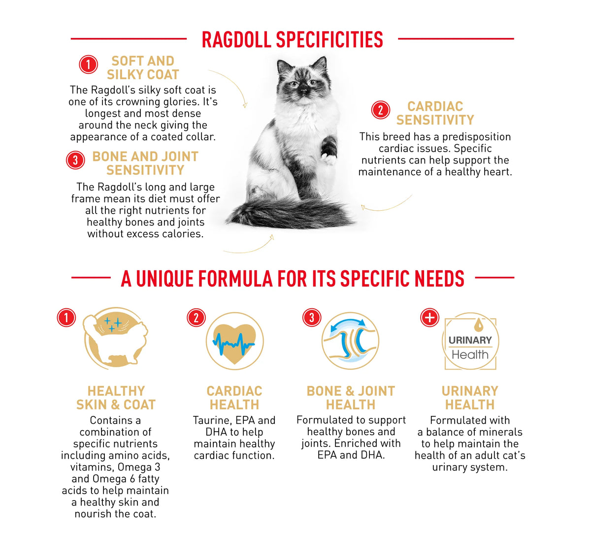 Royal Canin Cat Ragdoll Dry Food