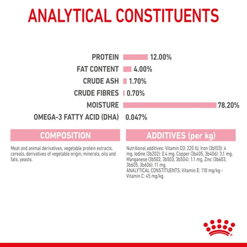 Royal Canin Kitten Chunks in Gravy Wet Cat Food