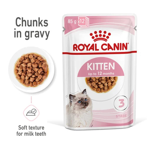 Royal Canin Kitten Chunks in Gravy Wet Cat Food