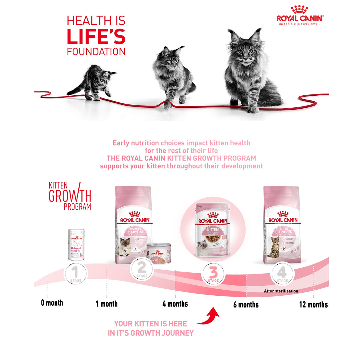 Royal Canin Kitten Chunks in Gravy Wet Cat Food