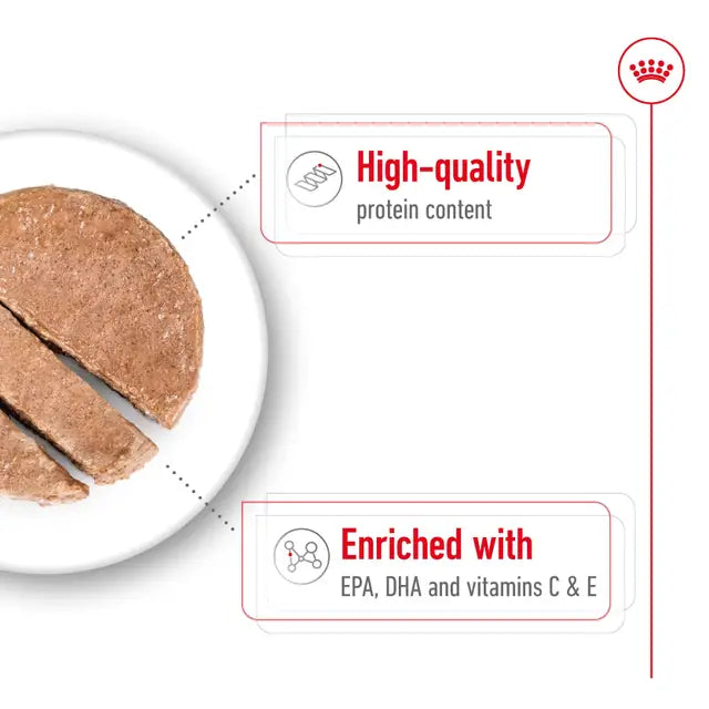 Royal Canin Medium Ageing Wet Dog Food