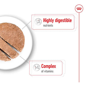 Royal Canin Mini Adult Wet Dog Food