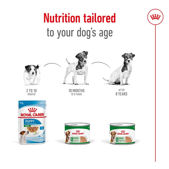 Royal Canin Mini Adult Wet Dog Food