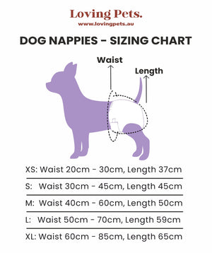 Washable Dog Nappies 2 Pack