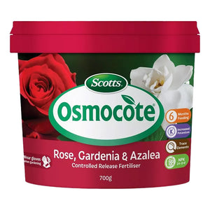 Scotts Osmocote Rose Gardenia and Azalea Fertiliser