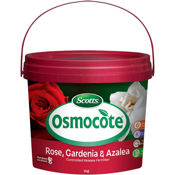 Scotts Osmocote Rose Gardenia and Azalea Fertiliser