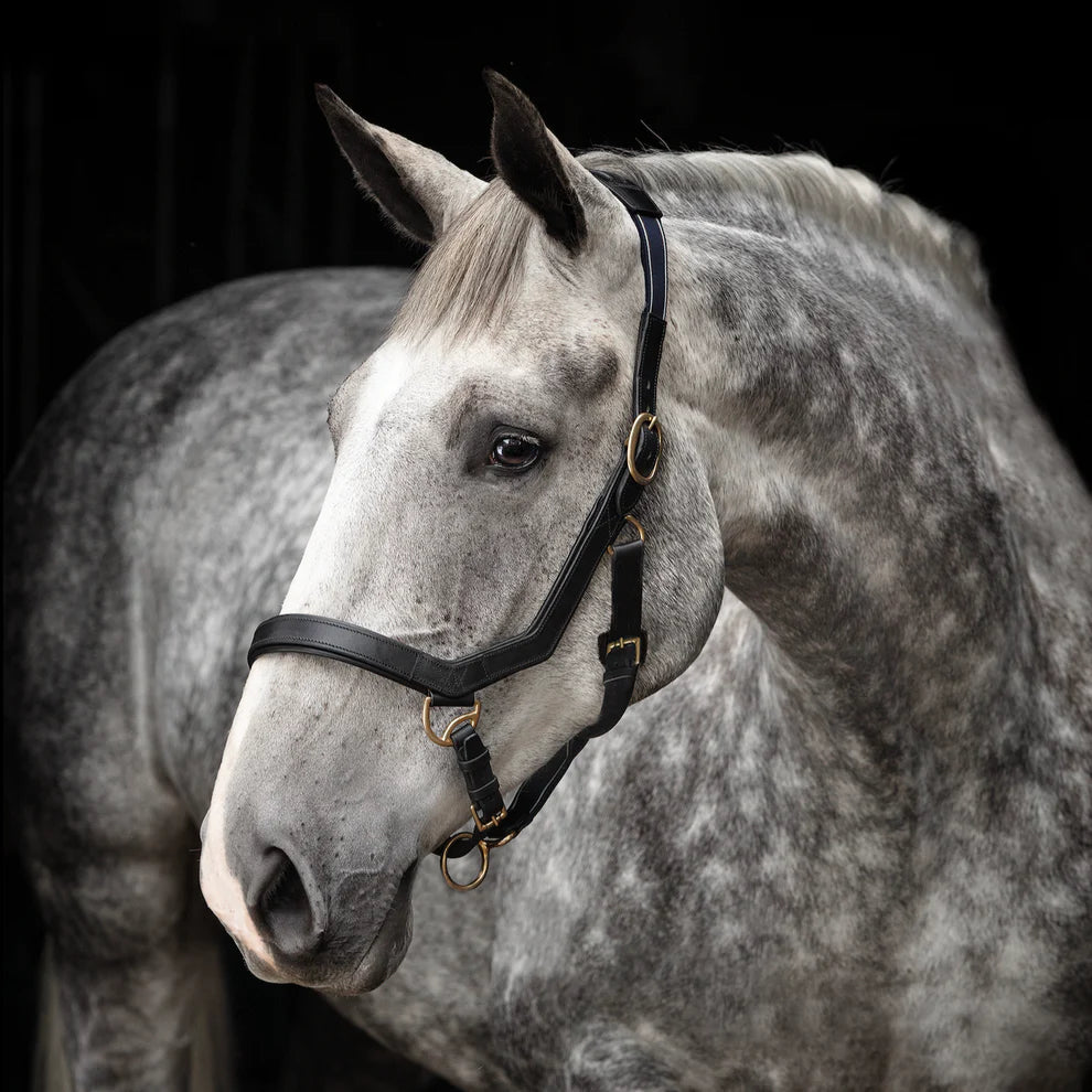 Horseware Ireland Rambo Micklem Headcollar