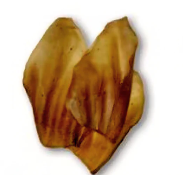 Treatz Aztec Beef Ears