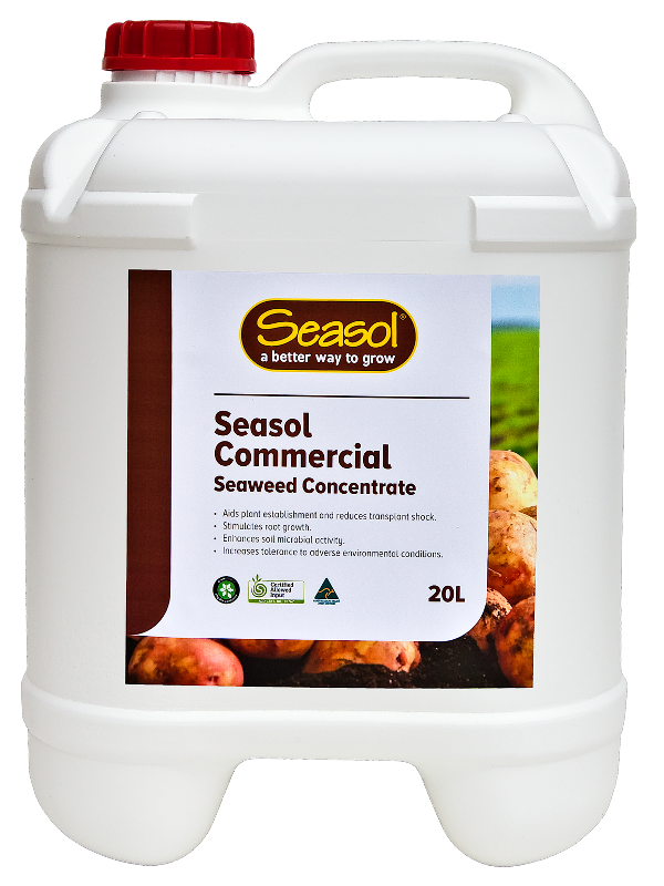 Seasol Commercial Seaweed Concentrate