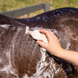 Hairy Pony Eco-Friendly Purple Toner Shampoo Bar