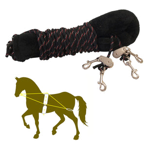 Showmaster Training System for Horses