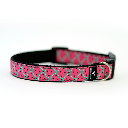 Moose dog collar best sale