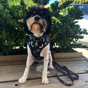 Soapy Moose Dog Lead