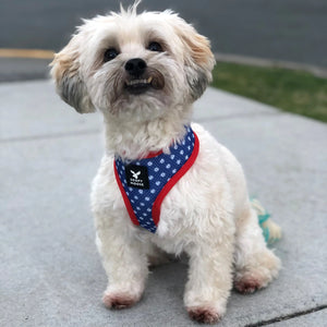 Soapy Moose Dog Harness Reversible
