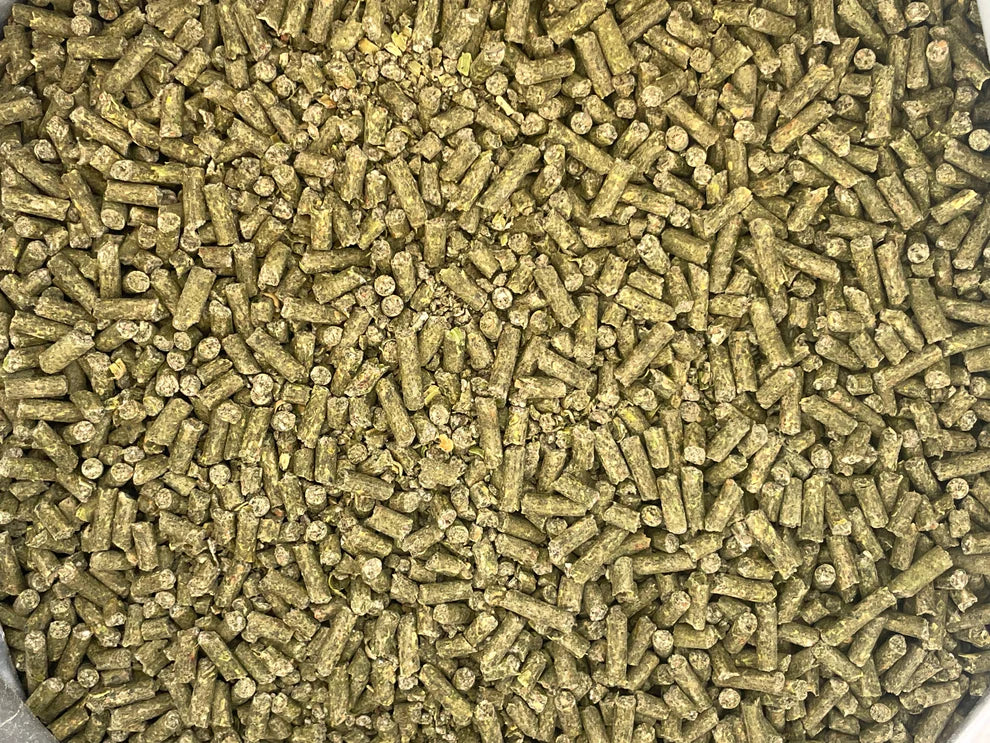 Stable-Ised Equine PractiBalance