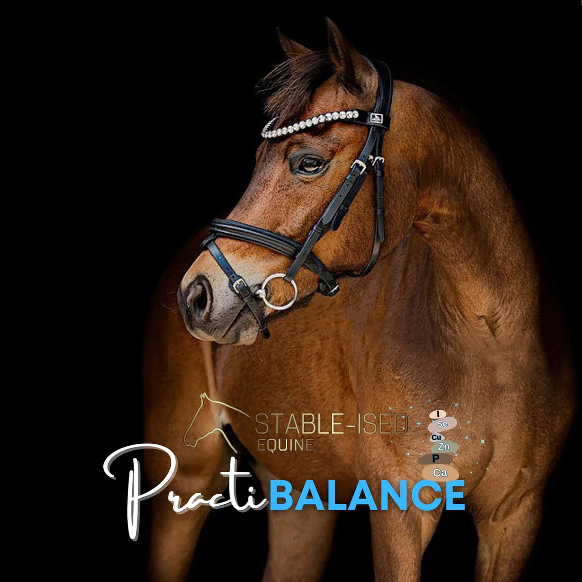Stable-Ised Equine PractiBalance