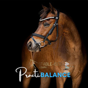 Stable-Ised Equine PractiBalance