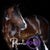 Stable-Ised Equine PractiBoost