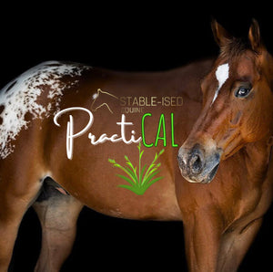 Stable-Ised Equine PractiCal
