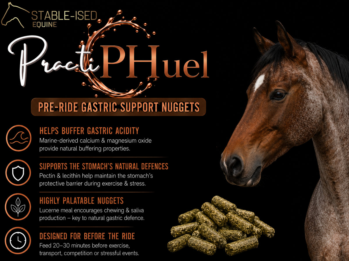 Stable-Ised Equine PractiPHuel