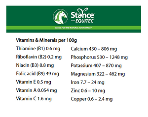 Stance Essentials Chia Seed