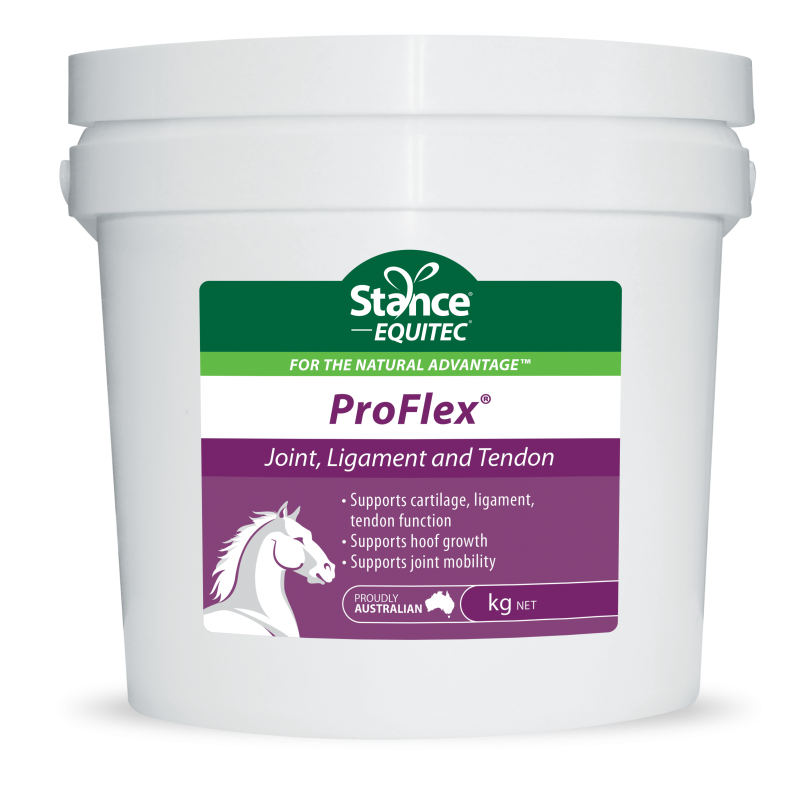 Stance Equitec Pro-Flex