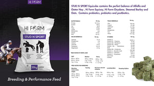 Hi Form Equicube Stud N Sport