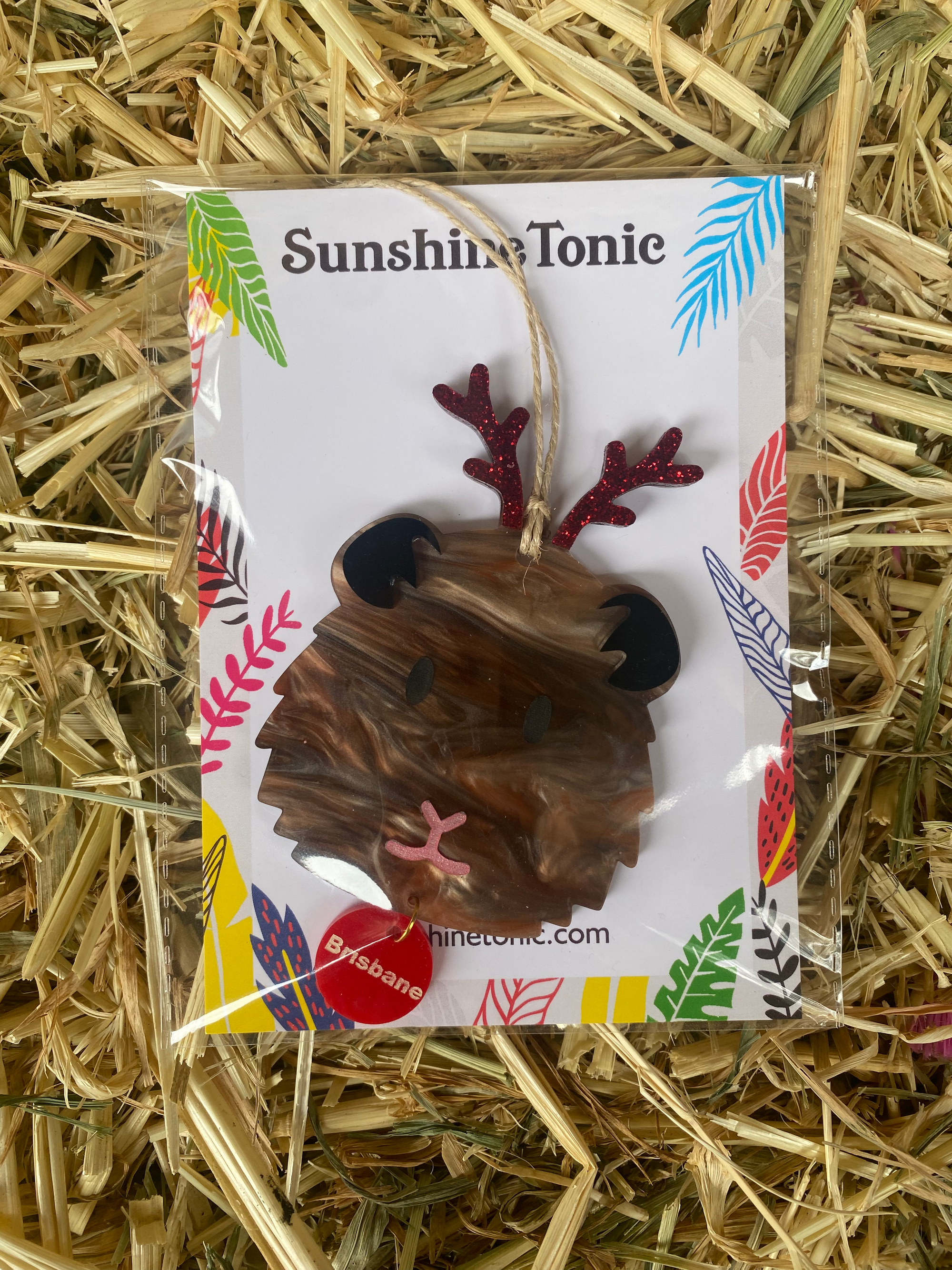 Acrylic Hanging Decoration Guinea Pig