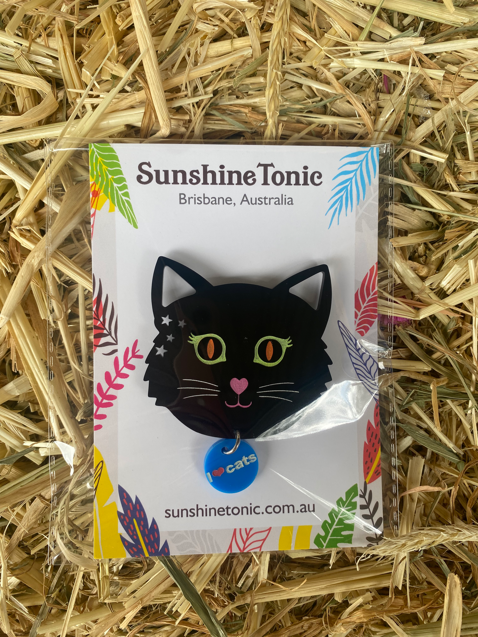Acrylic Magnet Cat