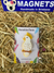 Acrylic Magnet Cockatoo