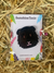 Acrylic Magnet Guinea Pig