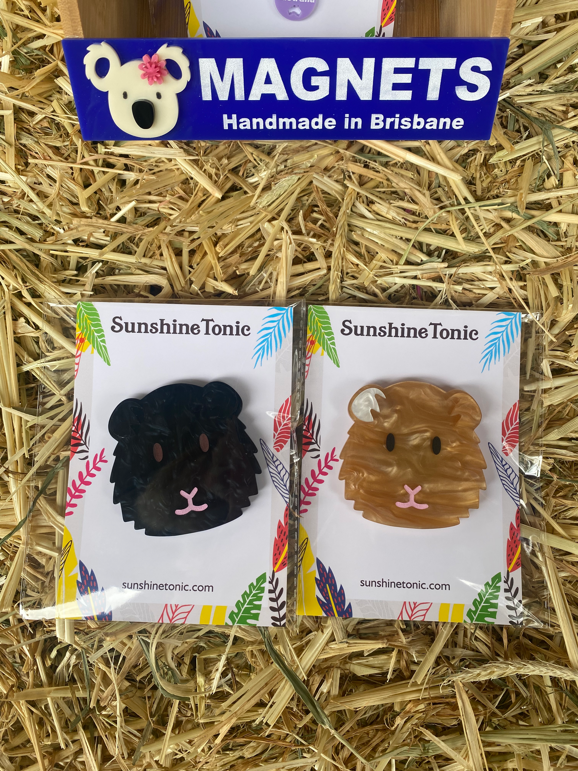 Acrylic Magnet Guinea Pig