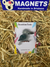 Acrylic Magnet Kookaburra