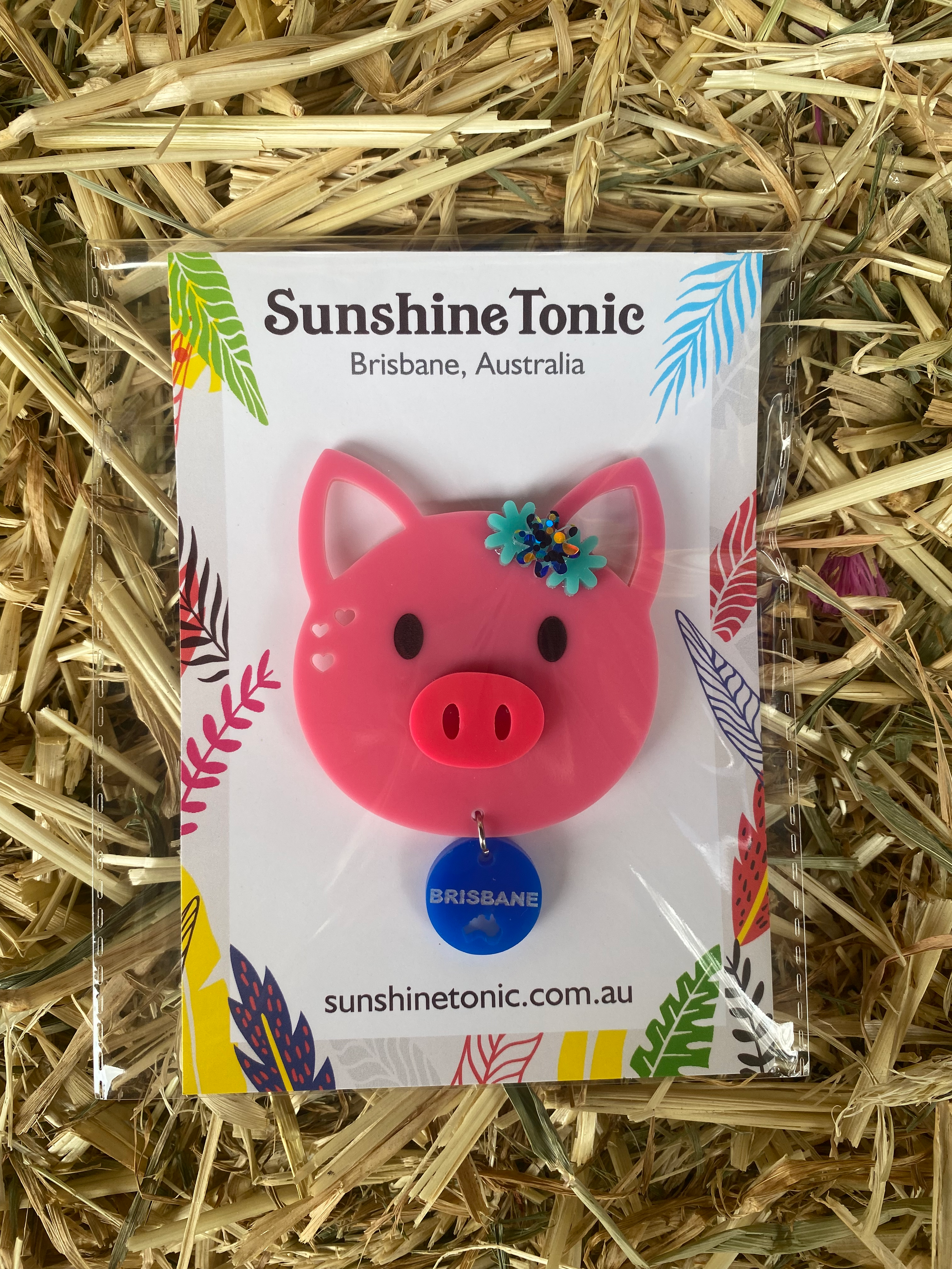 Acrylic Magnet Pig