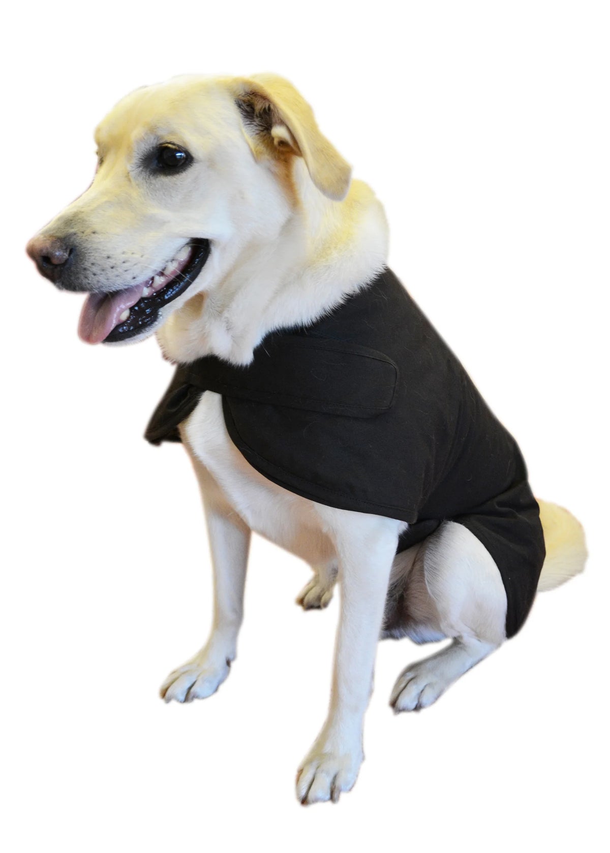 Thomas Cook Oilskin Dog Coat