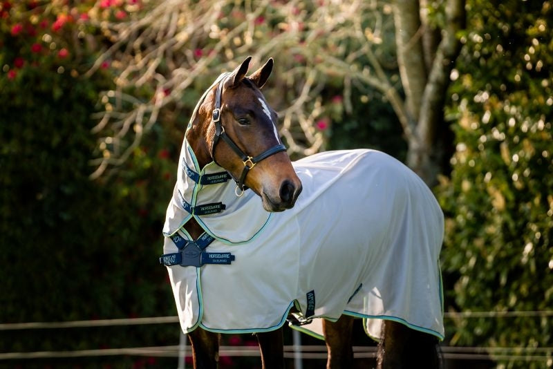 Horseware Ireland Amigo XL Bug Rug DF