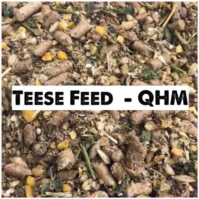 Teese QHM