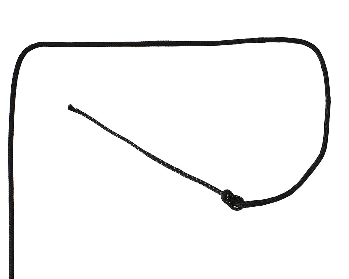 Lunge Whip 168cm