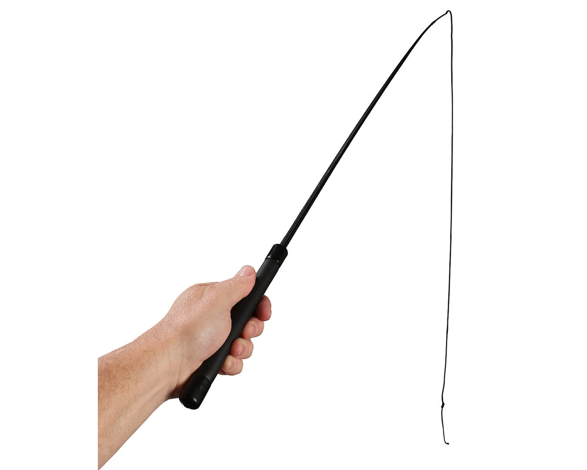 Lunge Whip 168cm