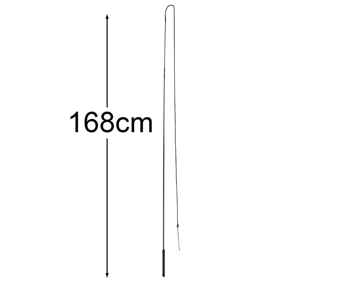 Lunge Whip 168cm
