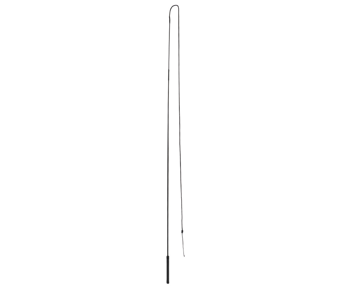 Lunge Whip 168cm