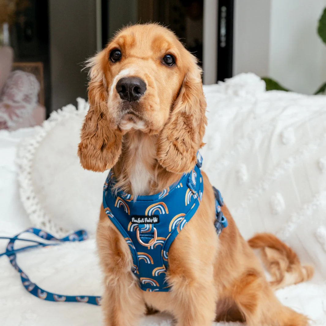 Adjustable Dog Harness Wild at Heart