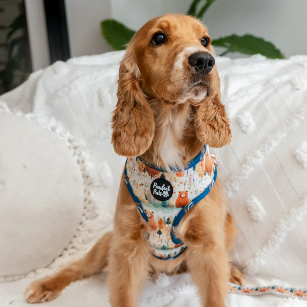 Reversible Dog Harness Wild at Heart