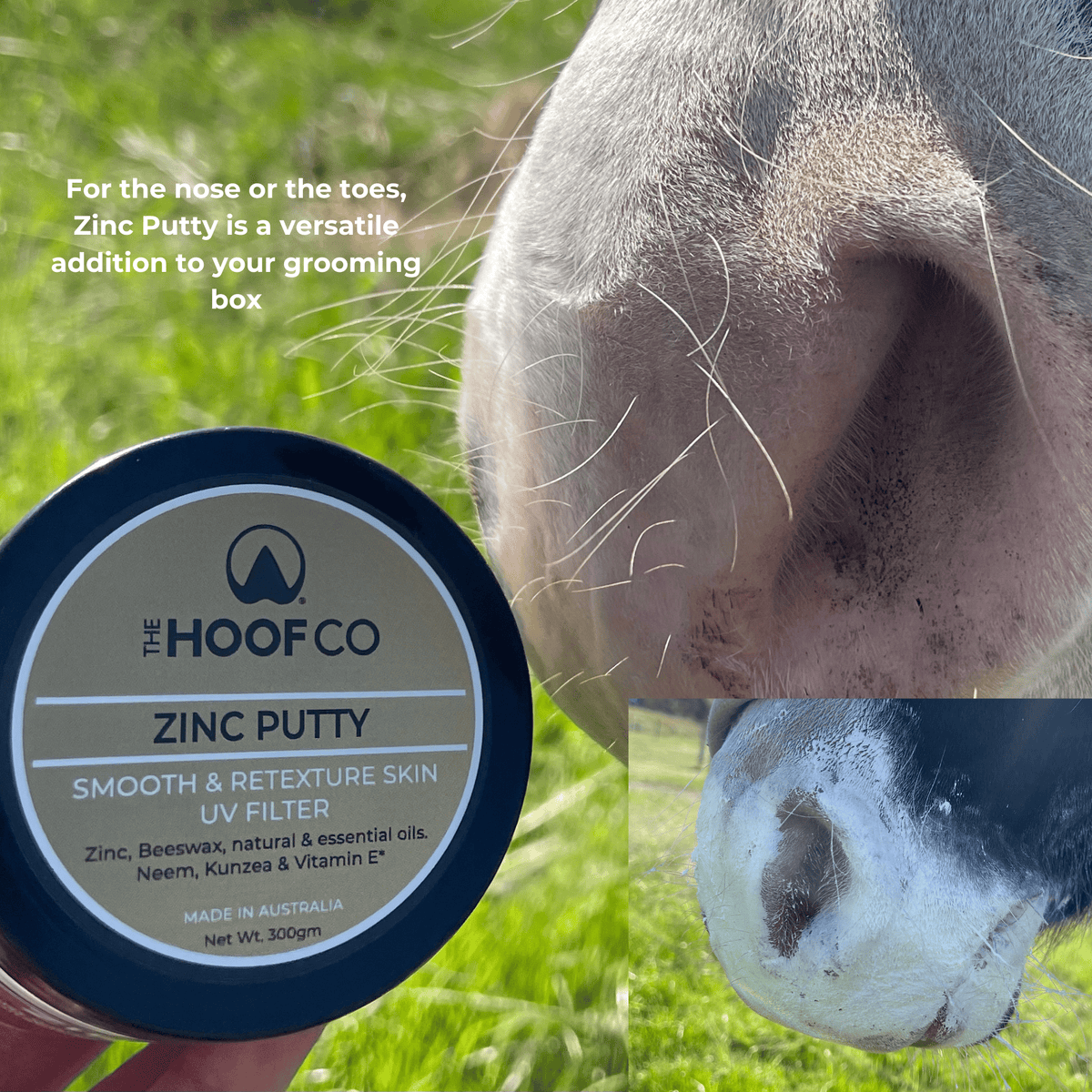 The Hoof Co Zinc Putty for Horses 300g