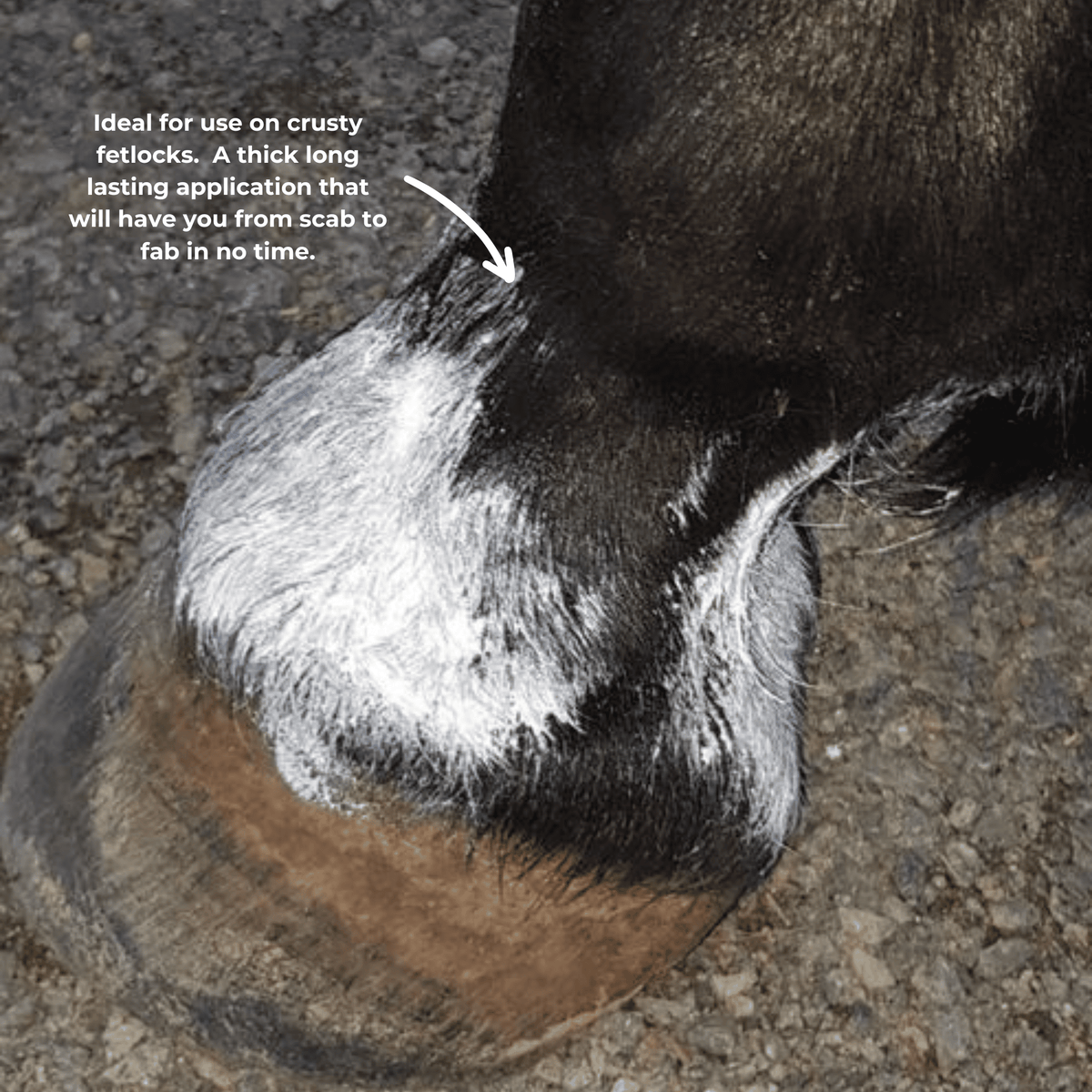The Hoof Co Zinc Putty for Horses 300g