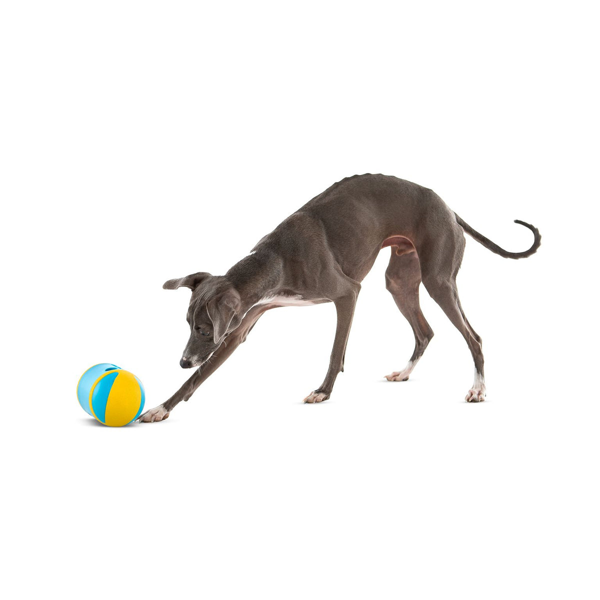 Guru Rock N Treat Medium Dog Toy