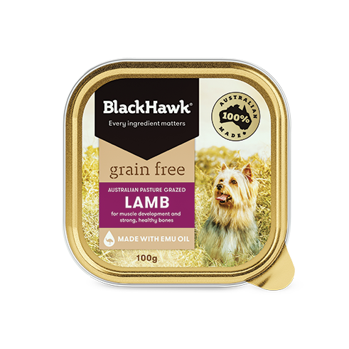Black Hawk Grain Free Adult Lamb Wet Dog Food 100g