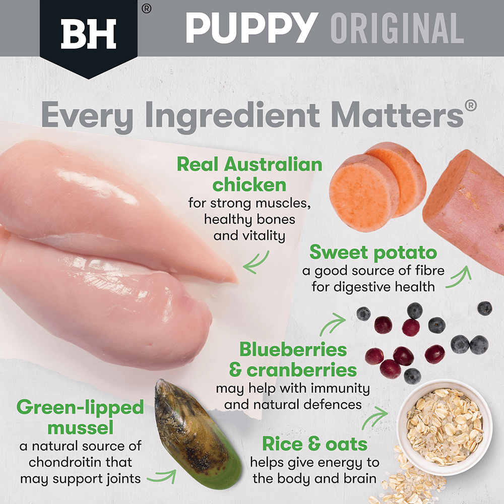 Black Hawk Puppy Large Breed Chicken and Rice Dry Dog Food