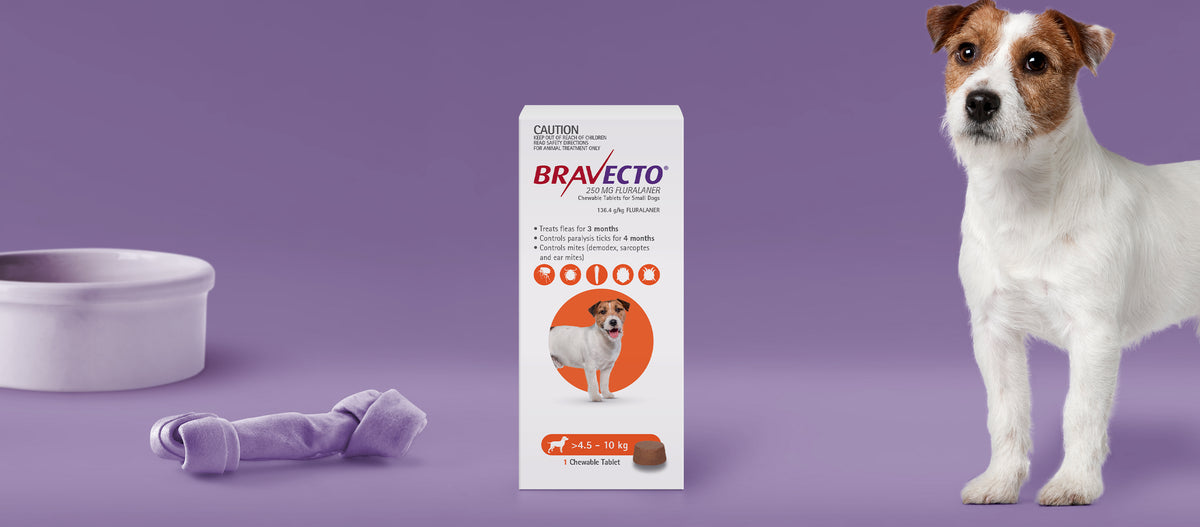 Bravecto 3 Month Chew for Small Dogs 4-10kg Orange